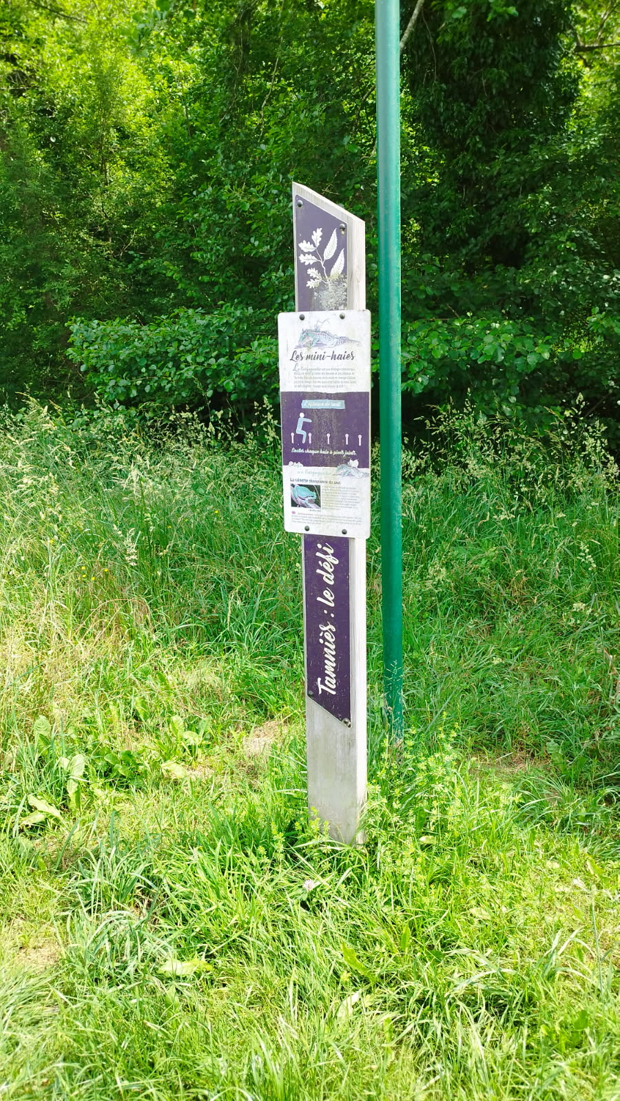 espace pique-nique en foret