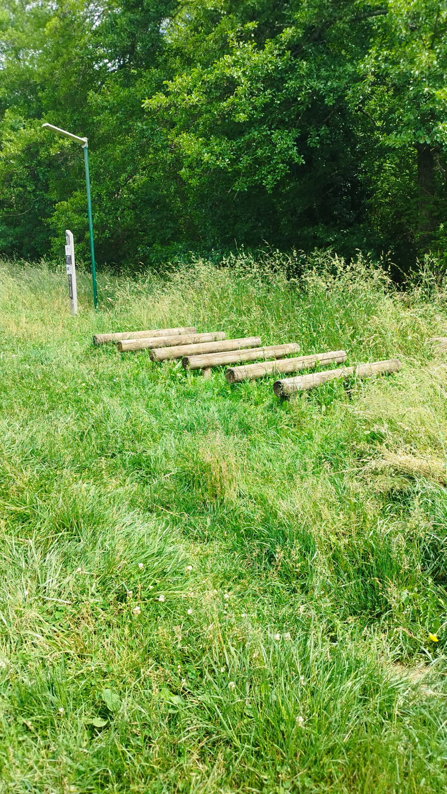 espace pique-nique en foret